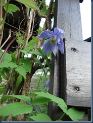 DSC00011