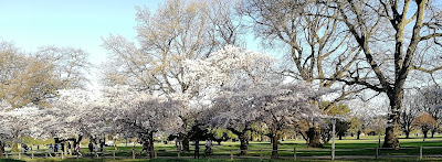 Creates Sew Slow: Christchurch: A city on the move or stuck in the past?