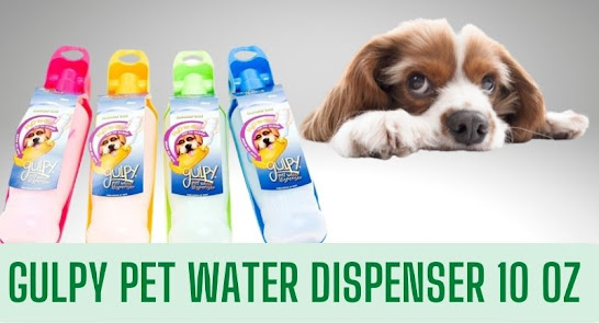 gulpy pet water dispenser