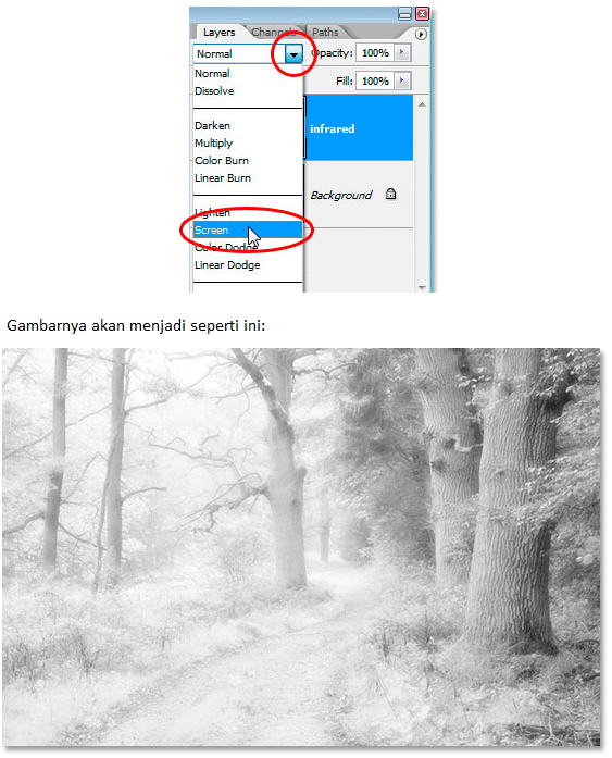 Cara Mudah Membuat Efek Infrared dengan Photoshop