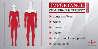 Importance of Minerals | What Are Minerals |Health knowledge