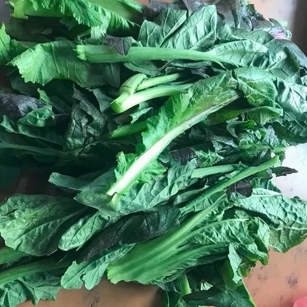 Fresh Green Mustard Leaves (Rayo ko Sag)