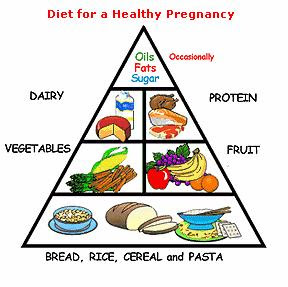 Healthy pregnancy diet