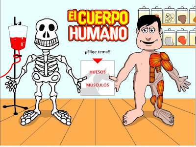 http://www.ceiploreto.es/sugerencias/cuerpo_humano/elcuerpohumano.swf