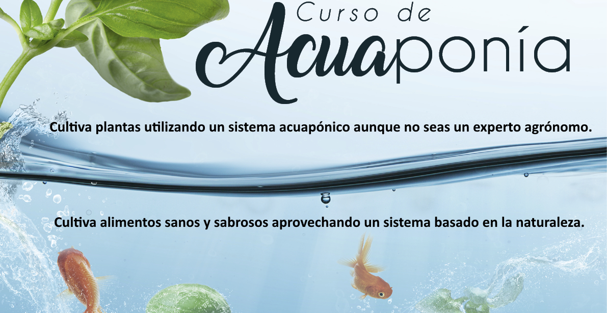 CURSO DE AGUPONIA