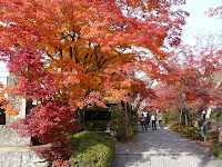 鷹峯常照寺は別名、檀林の寺、吉野の寺ともいう