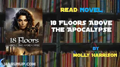 18 Floors Above the Apocalypse Novel