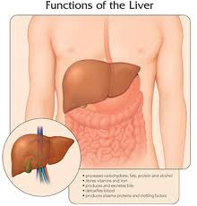 orang dengan hepatitis c