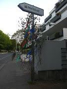 Maibaum erected infront of the building. Photo by expatlifeinbonn. (cimg )