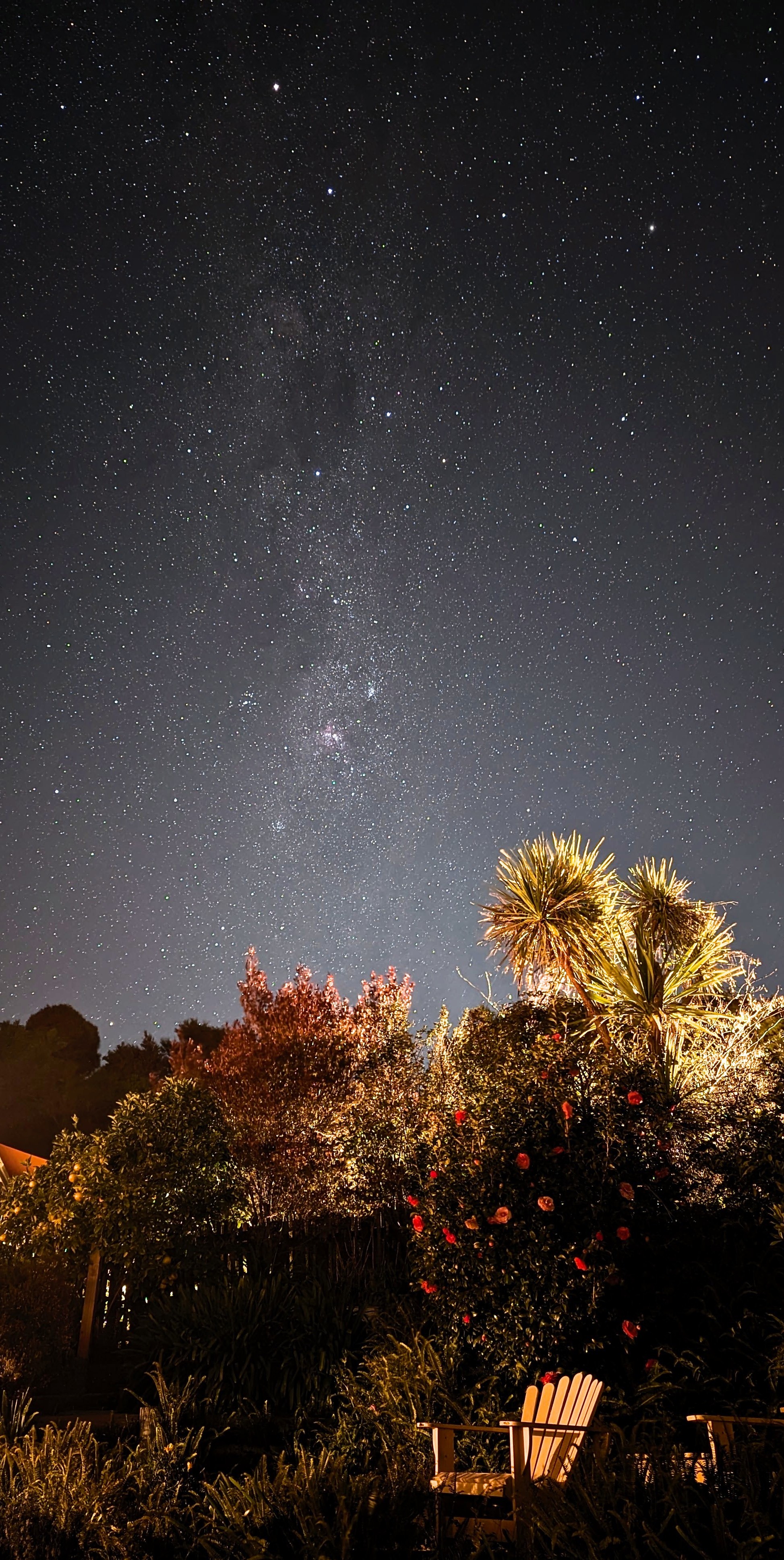 Milky Way and stars above backlit trees and an outdoor wooden chair