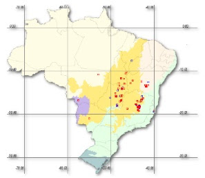 Schwartzia adamantium (Cambess.) Bedell ex Gir.-Cañas (Marcgraviaceae) no Brasil