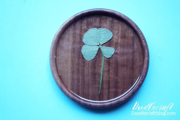 Place four leaf clover on tacky resin in wood coaster