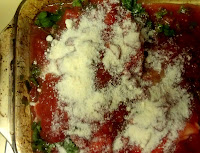 This quick and easy dinner is equally as delicious. Some simple ingredients: tomatoes, salsa, chicken, cilantro, parmesan cheese, garlic, olive oil, cayenne pepper and your made an easy meal.