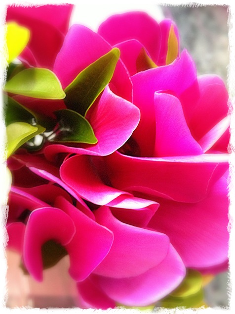 Day 16 - Your favourite colour