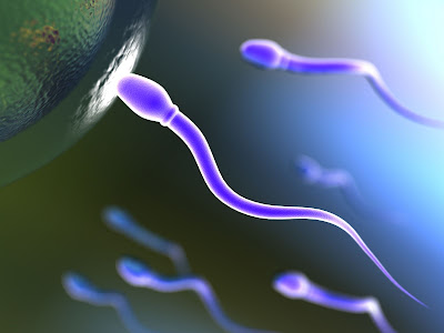 Fakta unik sperma