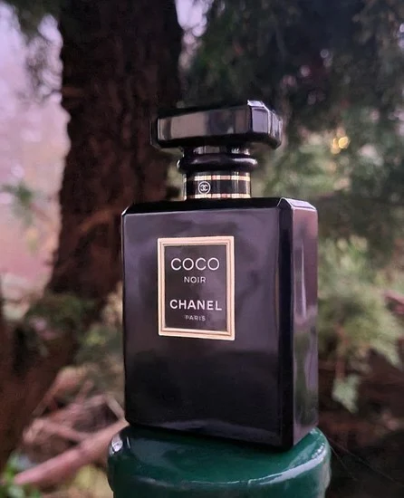 عطر كوكو شانيل الاسود Coco Noir Chanel