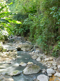 Diamond Botanical Gardens stream Soufriere St. Lucia by garden muses-not another Toronto gardening blog