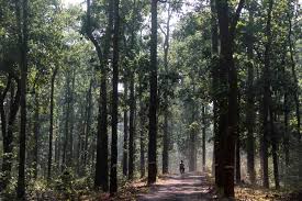 हसदेव का जंगल, आदिवासी अस्मिता एवं पेसा कानून  संकट में क्यों 