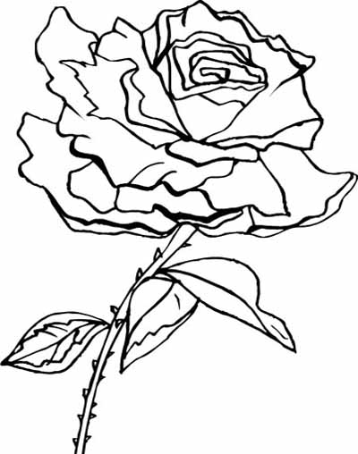 Adult Coloring Pages Flowers