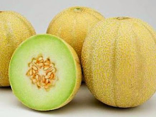  Gambar  Buah  Melon Segar Aku Buah  Sehat