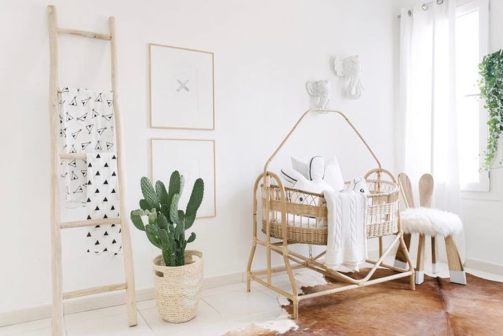 Decorar con cactus, las plantas con superpoderes_24