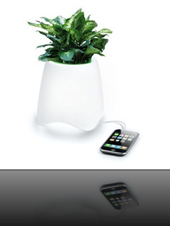Vase Design