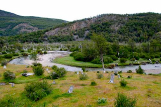 Parque Nacional Tierra del Fuego Argentina