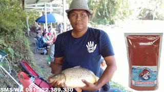 Umpan Pelet Serbuk Paling Gacor Untuk Ikan Mas