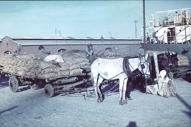 Fotografías a color de Egipto en 1936