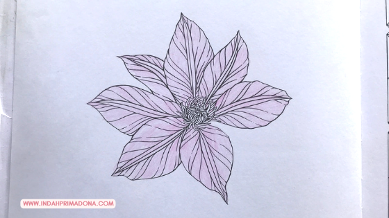 how to color clematis, adult coloring, adult coloring tutorial, coloring tutorial, flower coloring tutorial, coloring book, coloring for adult