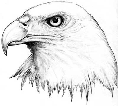 Eagle Tattoos For Men Strongest Military Tattoo for Men