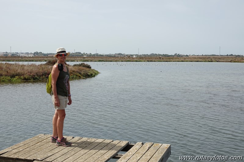 Ruta de los Esteros (Chiclana)