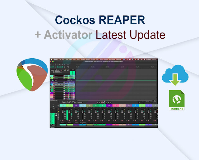 Cockos REAPER 7.14 + Activator Latest Update