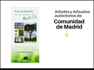Guía de Arboles y Arbustos de Comunidad de Madrid