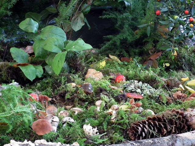 Mushrooms display at the entrance of Vancouver Mushroom Fall Show 2011