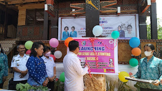 Percepat Penurunan Stunting, Wakil Bupati Tator Launching Kampung KB dan Dapur Sehat 