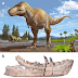 Nova espécie de Tiranossauro é descrita