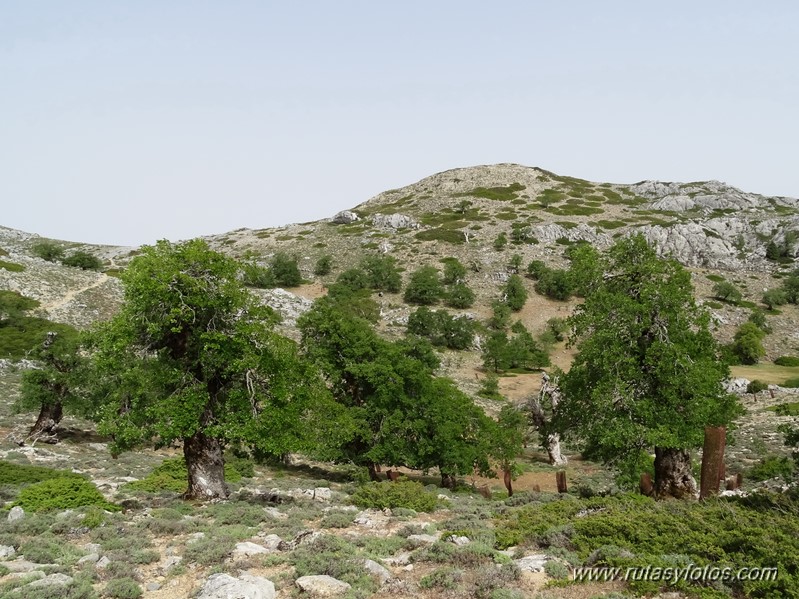 Quejigales-Tajo del Canalizo-Enamorados-Cerro Alto