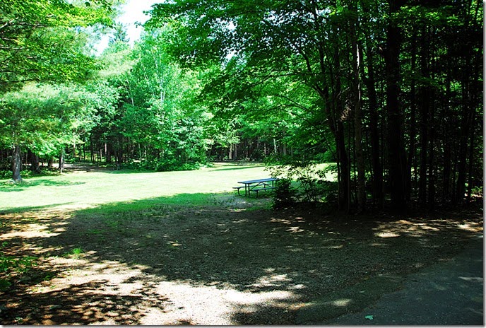 Moose Brook_023