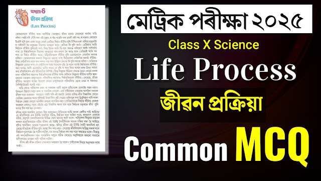 Class 10 Science Chapter 6 MCQ Assamese Medium