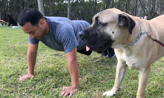 Coconut Grove Grapevine: Barkfit classes starting in ...
