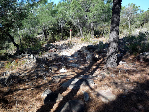 Itnerario El Arenal