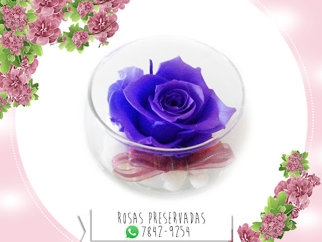 Centros de Mesa con Rosas Preservadas Arreglos Decoración Manualidades