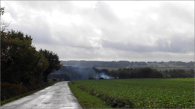 Le Val, Renac. Vue de la d65