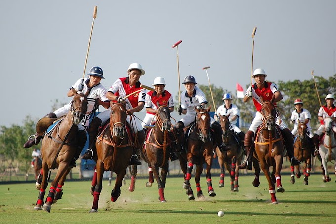 Polo Nedir ? Polo Sporu Nedir,Nasıl Oynanır ? 