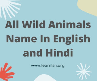 wild animals name 10