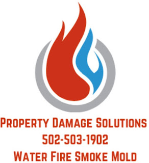 water damage cleanup company logo