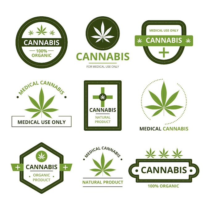 Navigating the Steps to Becoming a Medical Cannabis Certified Patient