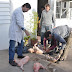 Detectan cerdos con triquinosis ingresados desde Santa Fe