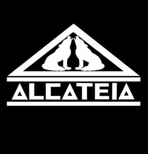 trampo de um membro da firma "ALCATÉIA CLÃ", NORK REINA!!